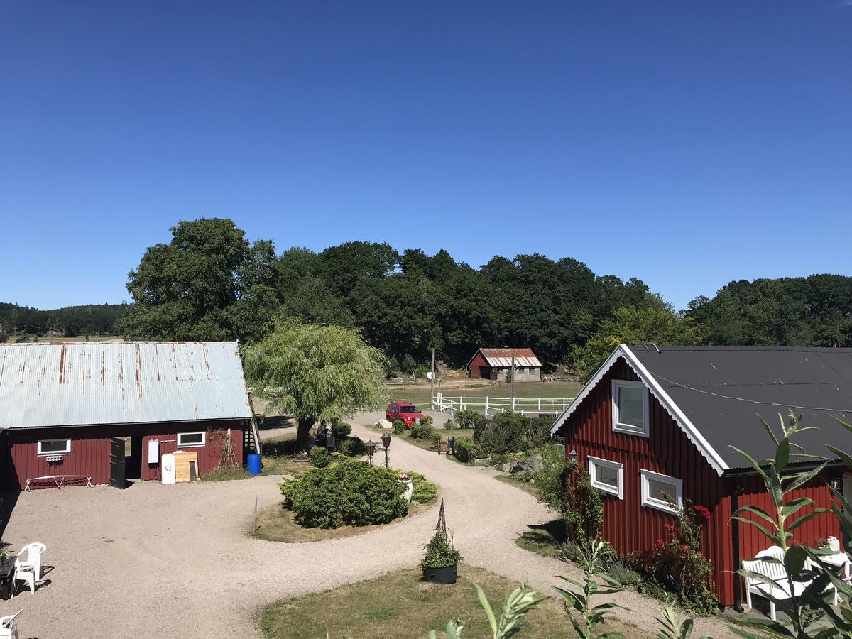 Tuvagard B&B Vindhaestar Langas Kültér fotó