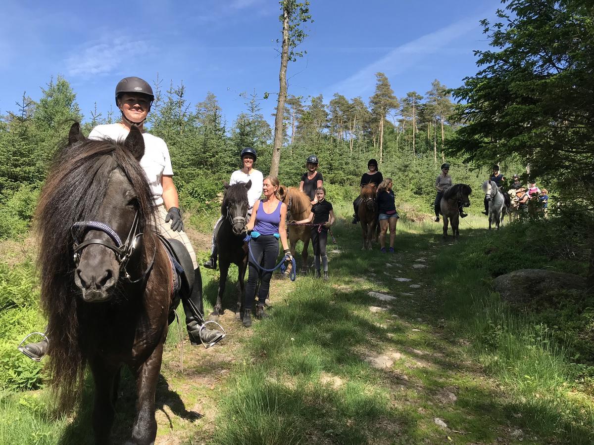 Tuvagard B&B Vindhaestar Langas Kültér fotó